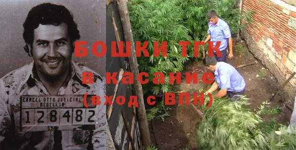 ГАЛЛЮЦИНОГЕННЫЕ ГРИБЫ Белоозёрский