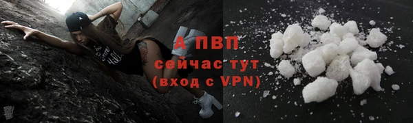 Альфа ПВП Беломорск