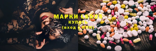 ГАЛЛЮЦИНОГЕННЫЕ ГРИБЫ Белоозёрский